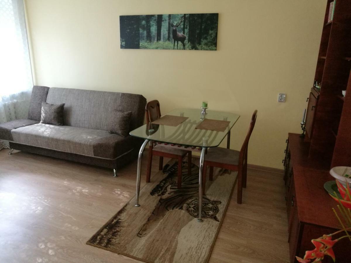 Tejos Guest House シャウレイ エクステリア 写真